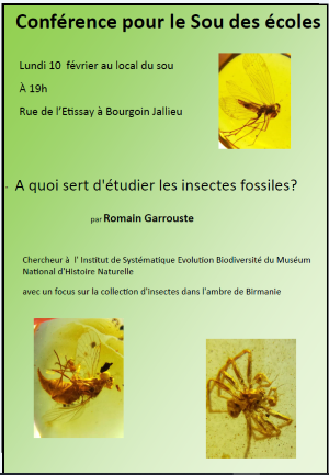 conf_fossiles