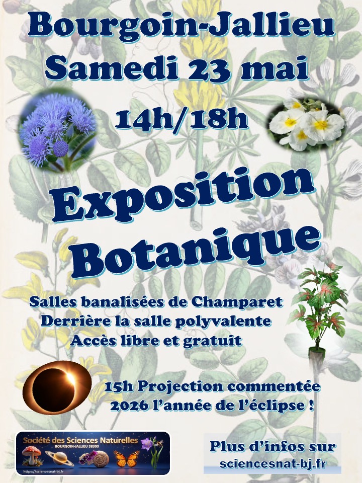 affiche-expo