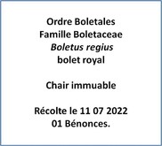 Le bolet royal Image 1