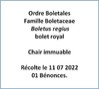 Le bolet royal Image 1